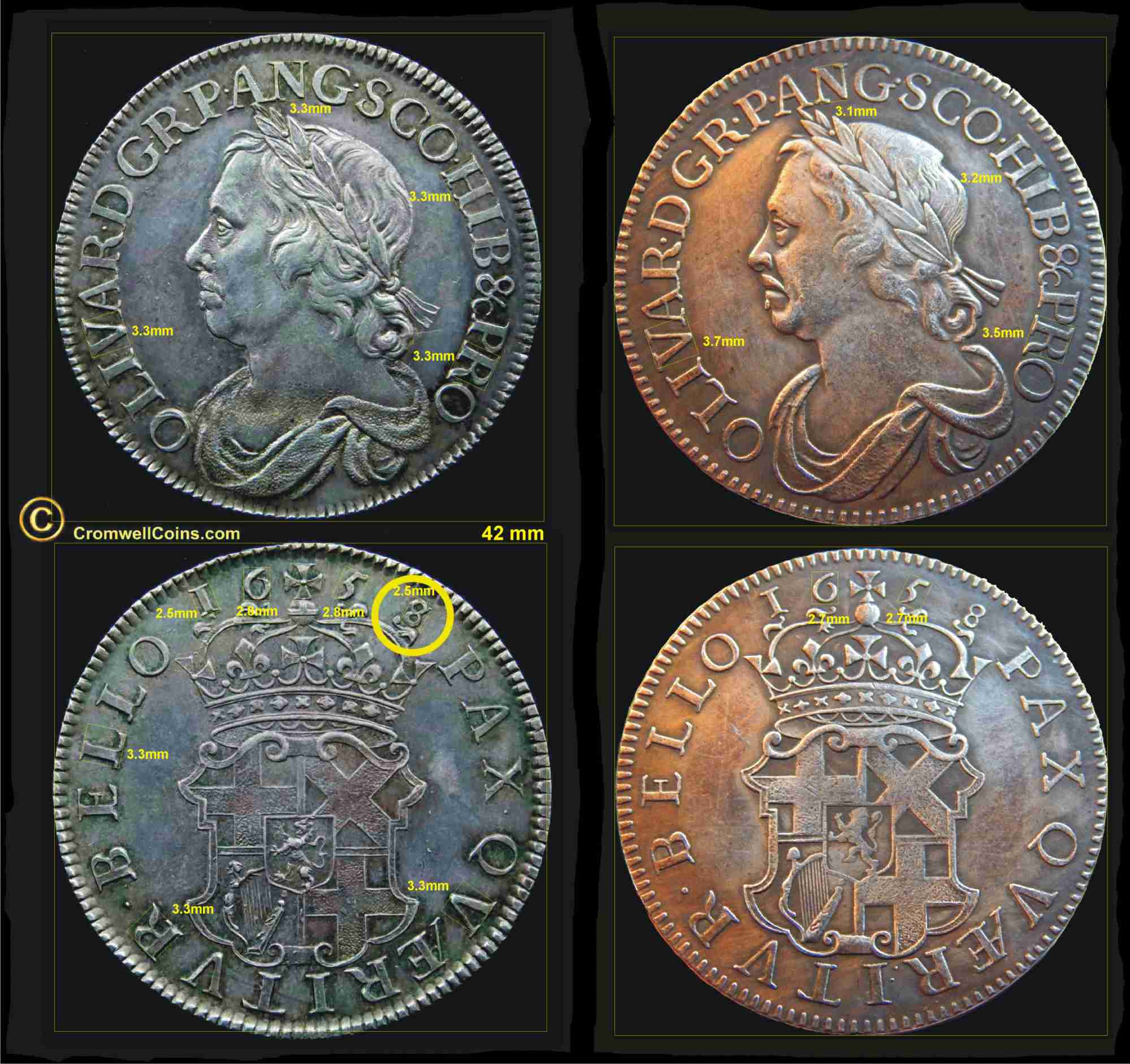 Real and Fake Cromwell Crown